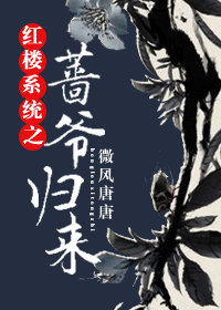 《（红楼同人）红楼系统之蔷爷归来》 作者：微风唐唐 txt文件大小：453.68 KB