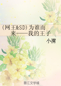 《（网王&amp;SD）为谁而来——我的王子》 作者：小潸 txt文件大小：433.19 KB