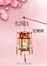《（综影视同人）幻境1》 作者：花绵绵 txt文件大小：361.13 KB