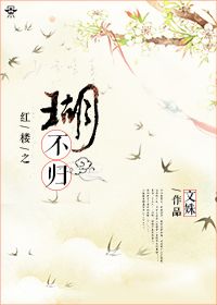 《（红楼同人）红楼之瑚不归》 作者：文姝 txt文件大小：852.51 KB