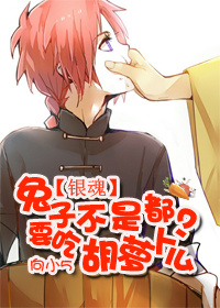 《（银魂同人）（银魂）兔子不是都要吃胡萝卜么？》 作者：向小5 txt文件大小：275.08 KB