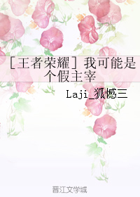 《（王者荣耀同人）［王者荣耀］我可能是个假主宰》 作者：Laji_狐憾三 txt文件大小：33.05 KB