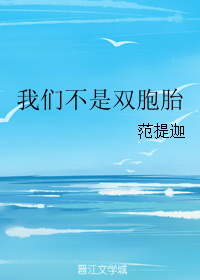 《我们不是双胞胎》 作者：范提迦+SAI联合 txt文件大小：68.81 KB