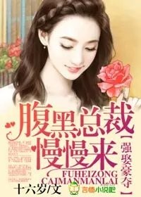 《强娶豪夺，腹黑总裁慢慢来》 作者：十六岁 txt文件大小：945.99 KB
