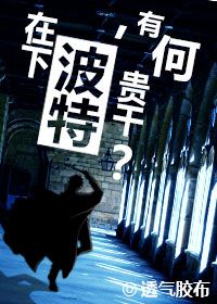 《（HP同人）[HP]在下波特，有何贵干？》 作者：透气胶布 txt文件大小：135.54 KB