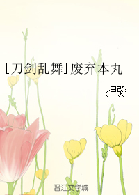 《（刀剑乱舞同人）[刀剑乱舞]废弃本丸》 作者：押弥 txt文件大小：55.89 KB
