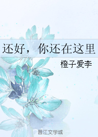 《还好，你还在这里》 作者：橙子爱李 txt文件大小：571.04 KB