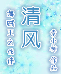 《（海贼王同人）[海贼王]之伙伴清风》 作者：素小柿 txt文件大小：774.74 KB