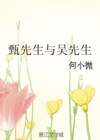 《甄先生与吴先生》 作者：何小微 txt文件大小：117.15 KB