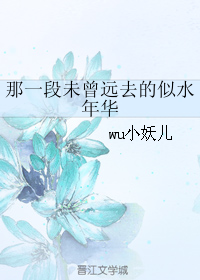 《那一段未曾远去的似水年华》 作者：wu小妖儿 txt文件大小：373.23 KB