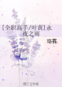 《（全职同人）[全职高手-叶黄]永夜之雨》 作者：珞霖 txt文件大小：195.69 KB