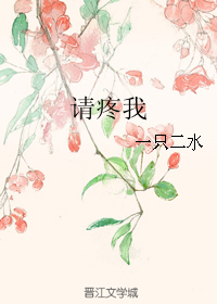 《请疼我》 作者：一只二水 txt文件大小：84.79 KB