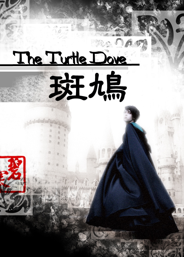 《（HP同人）The Turtle Dove～斑鸠～》 作者：碧寒公子 txt文件大小：1.19 MB