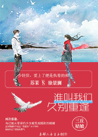 《谁叫我们久别重逢》 作者：三丘姑娘 txt文件大小：314.69 KB