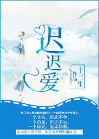 《迟迟爱》 作者：十三生 txt文件大小：453.33 KB