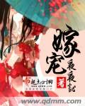 《嫁宠》 作者：夜夜訫 txt文件大小：904.1 KB
