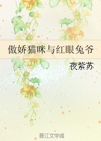 《（综漫同人）傲娇猫咪与红眼兔爷》 作者：夜紫苏 txt文件大小：48.12 KB