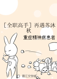 《（全职同人）［全职高手］再遇苏沐秋》 作者：重症精神病患者 txt文件大小：29.14 KB