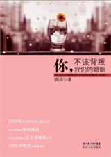 《你，不该背叛我们的婚姻》 作者：锕浔 txt文件大小：245.99 KB