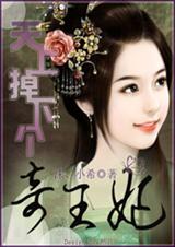 《天上掉下个奇王妃》 作者：沫、小希 txt文件大小：170.71 KB