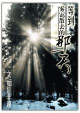 《等到雾霭散去的那一天》 作者：如是非迎 txt文件大小：379.72 KB