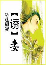 《惑妻（原名诱妻）》 作者：迷糊蛋 txt文件大小：921.87 KB