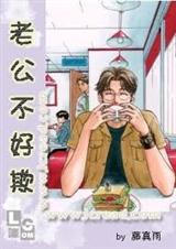 《老公不好欺》 作者：藤真雨 txt文件大小：1.12 MB