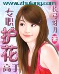 《专职护花高手》 作者：长弓对月 txt文件大小：451.45 KB