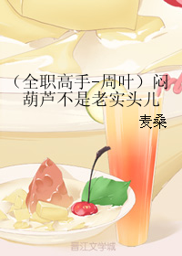《（全职同人）（全职高手-周叶）闷葫芦不是老实头儿》 作者：麦桑w2 txt文件大小：41.57 KB