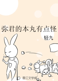 《（兄弟战争同人）弥君的本丸有点怪》 作者：轻九 txt文件大小：509.25 KB