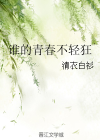 《谁的青春不轻狂》 作者：清衣白衫 txt文件大小：87.36 KB