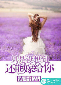 《只是没想到，还能嫁给你》 作者：紫叶 txt文件大小：728.01 KB