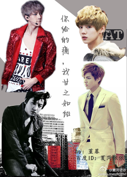 《（EXO同人）EXO-你给的痛，我甘之如饴》 作者：夏菏依依 txt文件大小：337.32 KB