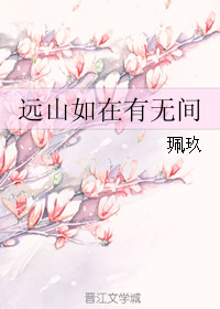 《远山如在有无间》 作者：珮玖 txt文件大小：301.4 KB