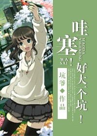 《（综同人）[综]哇塞！好大一个坑！》 作者：坑爷 txt文件大小：240.38 KB