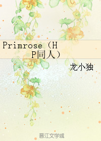 《HP同人）Primrose》 作者：龙小独 txt文件大小：334.62 KB