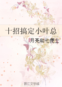 《十招搞定小叶总》 作者：月亮和七便士 txt文件大小：251.34 KB