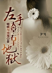 《左手天堂，右手地狱》 作者：蝴蝶与沧海 txt文件大小：531.1 KB