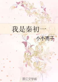 《我是秦初一》 作者：小小雨子 txt文件大小：305.76 KB