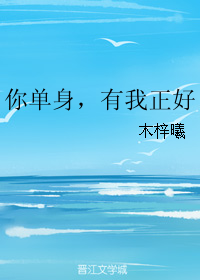 《你单身，有我正好》 作者：木梓曦 txt文件大小：158.18 KB