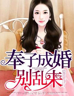 《奉子成婚，别乱来》 作者：紫霞仙子 txt文件大小：6.97 MB