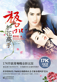 《极品护花高手》 作者：青枣枝 txt文件大小：3.31 MB