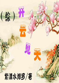 《（影视同人）[综民国]开云见天》 作者：紫清水烟罗 txt文件大小：375.27 KB