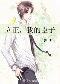 《立正，我的臣子》 作者：pea txt文件大小：47.93 KB