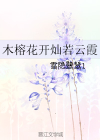 《木榕花开灿若云霞》 作者：雪隐鹭鸶1 txt文件大小：361.21 KB