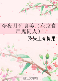 《（东京食尸鬼同人）今夜月色真美（东京食尸鬼同人）》 作者：我头上有犄角 txt文件大小：64.32 KB