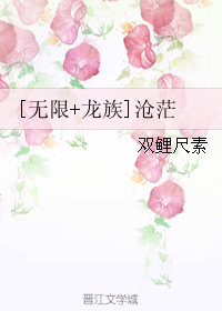 《（综同人）[无限+龙族]沧茫》 作者：双鲤尺素 txt文件大小：522.76 KB