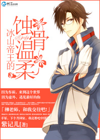 《（网王同人）网王：冰山帝王的蚀骨温柔》 作者：紫记儿 txt文件大小：212.28 KB