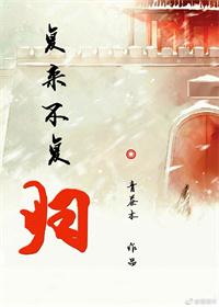 《复来不复归》 作者：青茶木 txt文件大小：500.94 KB