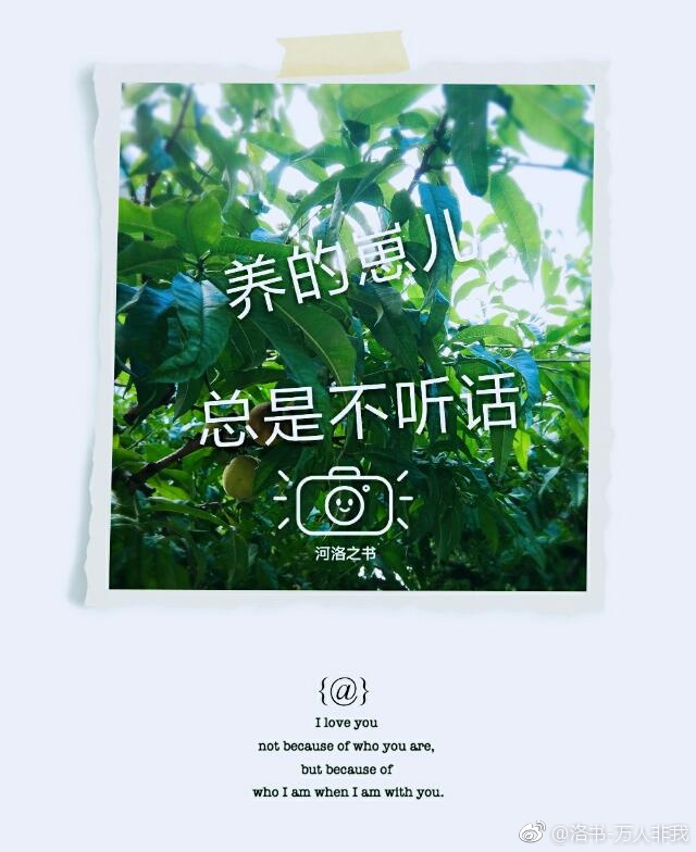 《（封神演义同人）养的崽儿总是不听话》 作者：河洛之书 txt文件大小：137.69 KB